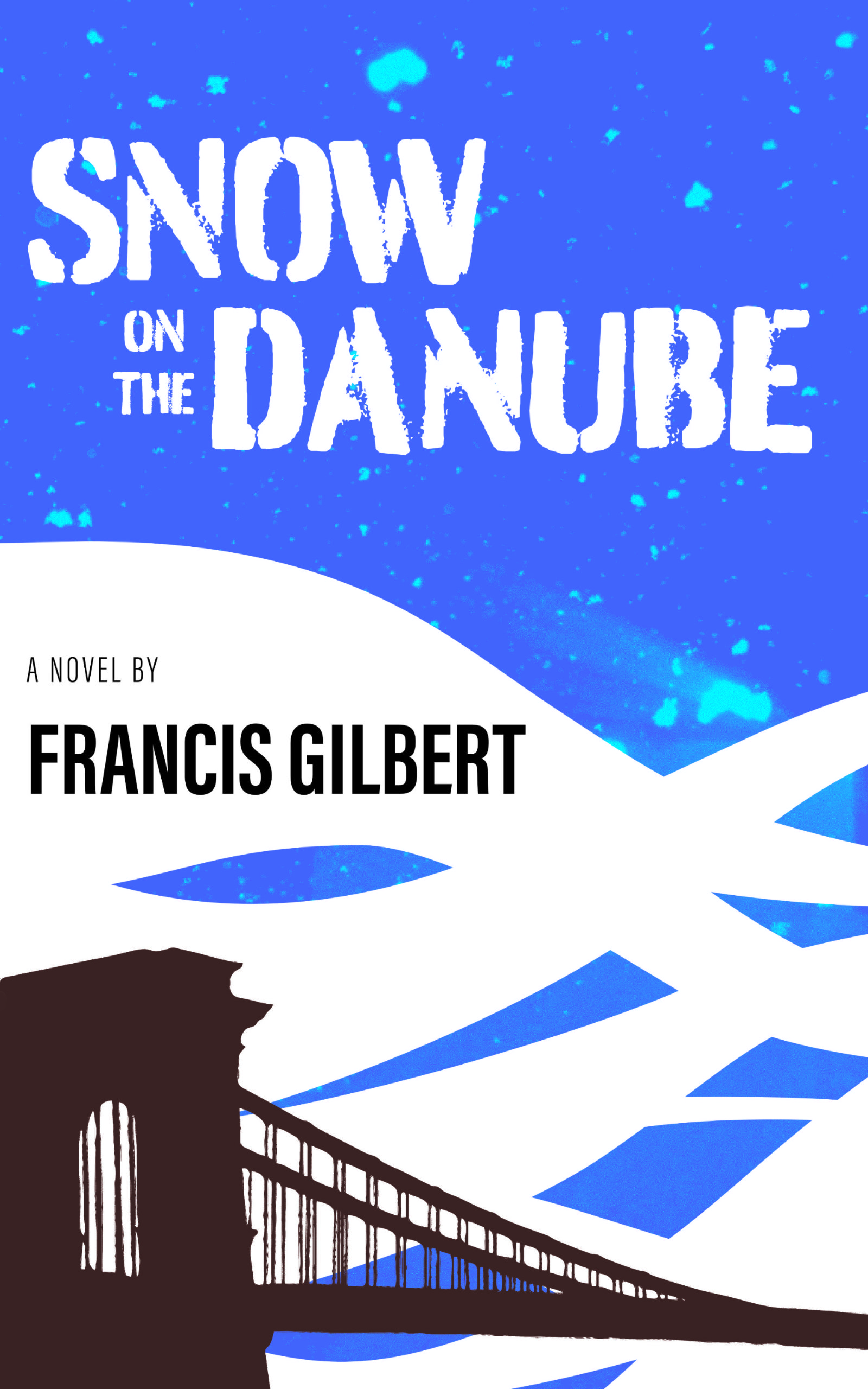 Snow on the Danube: a wartime thriller and romance