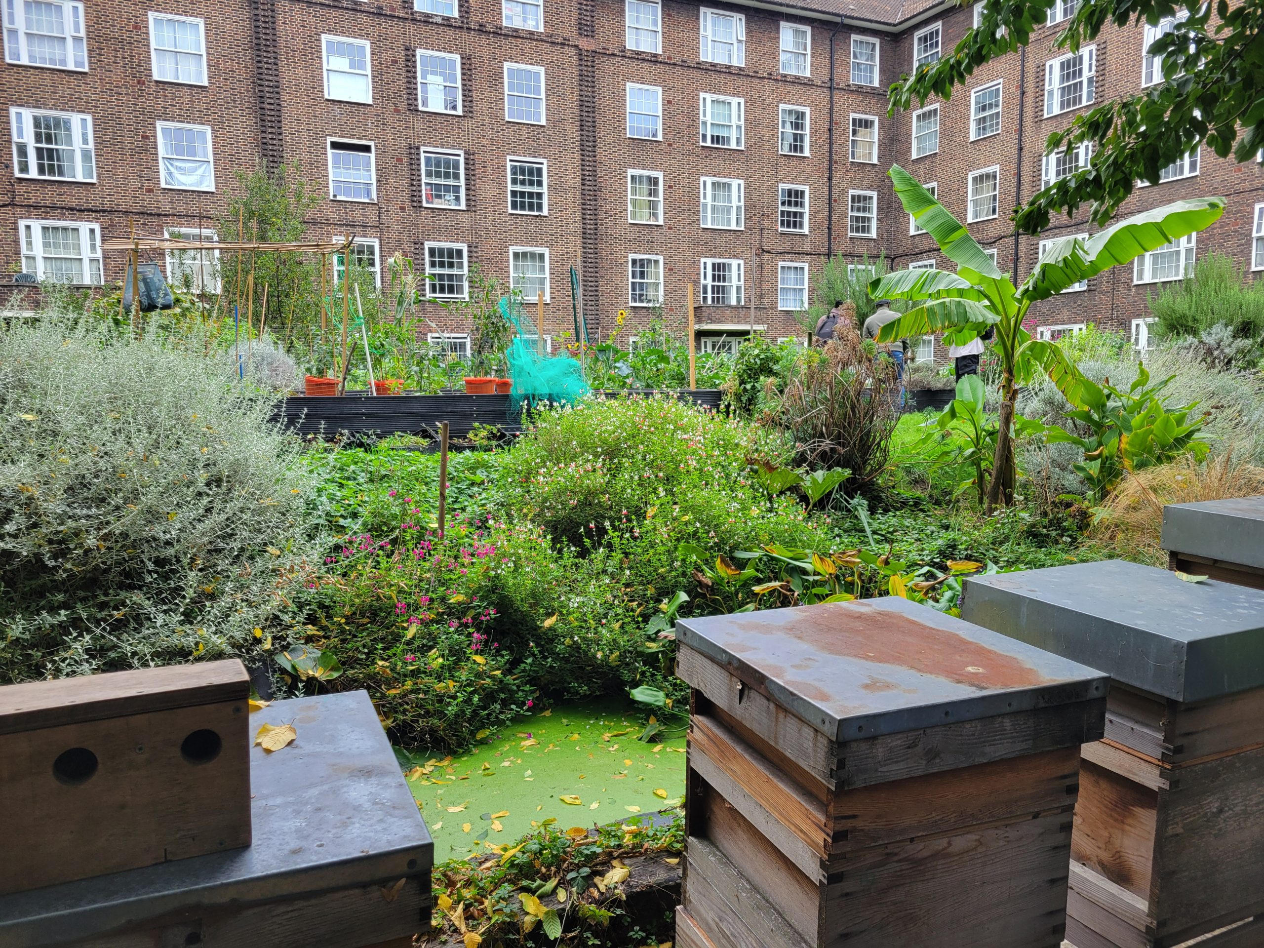 Writing Among Books and Roses: Five Lessons from the British Library and a South London Garden